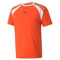 Puma Sport-Tshirt teamLIGA Multisport kurz rot Herren